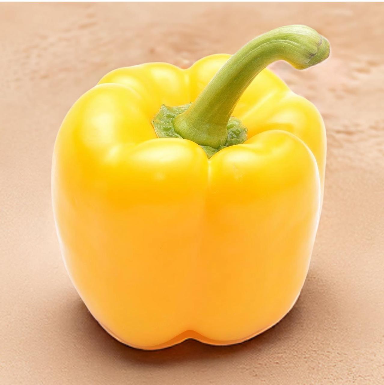 Hingoli Farm