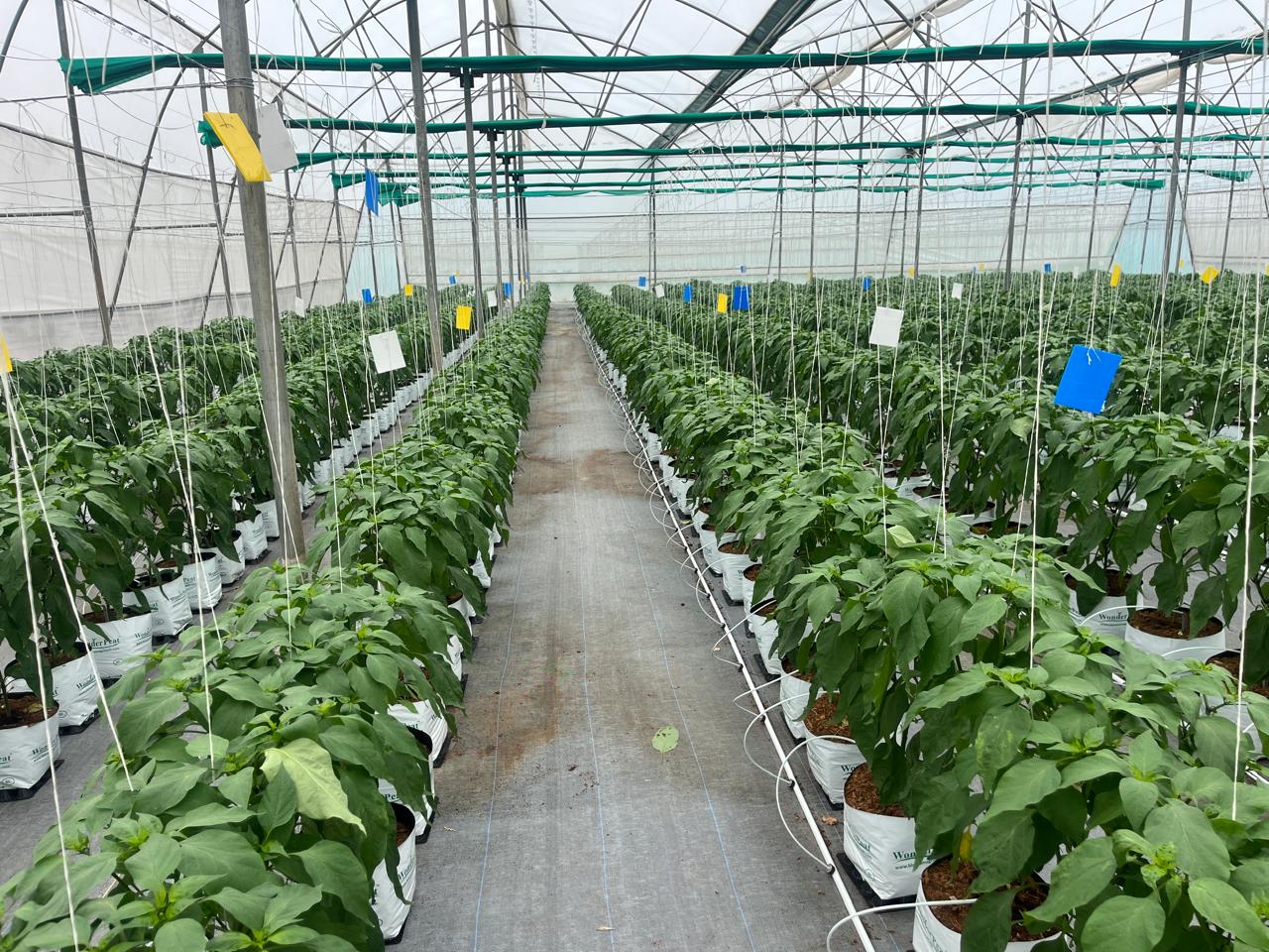 Agvetos Pvt. Ltd - Sustainable Agriculture