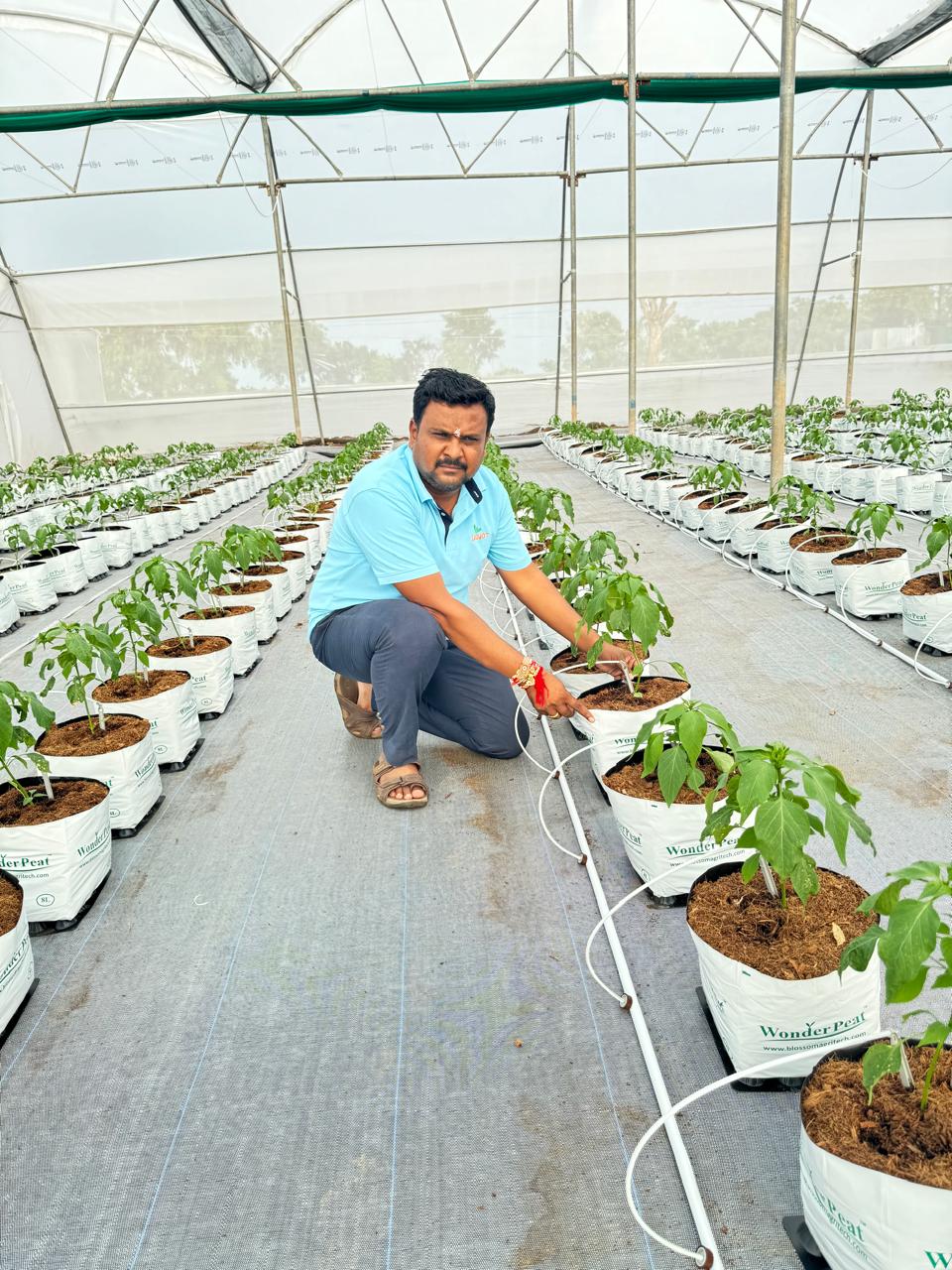 Agvetos Pvt. Ltd - Sustainable Agriculture